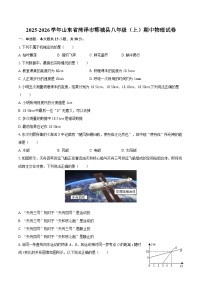 2025-2026学年山东省菏泽市郓城县八年级（上）期中物理试卷-自定义类型