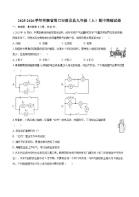 2025-2026学年河南省周口市鹿邑县九年级（上）期中物理试卷-自定义类型