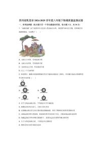 贵州省凯里市2024-2025学年度八年级下第一次质量监测物理试卷（学生版）