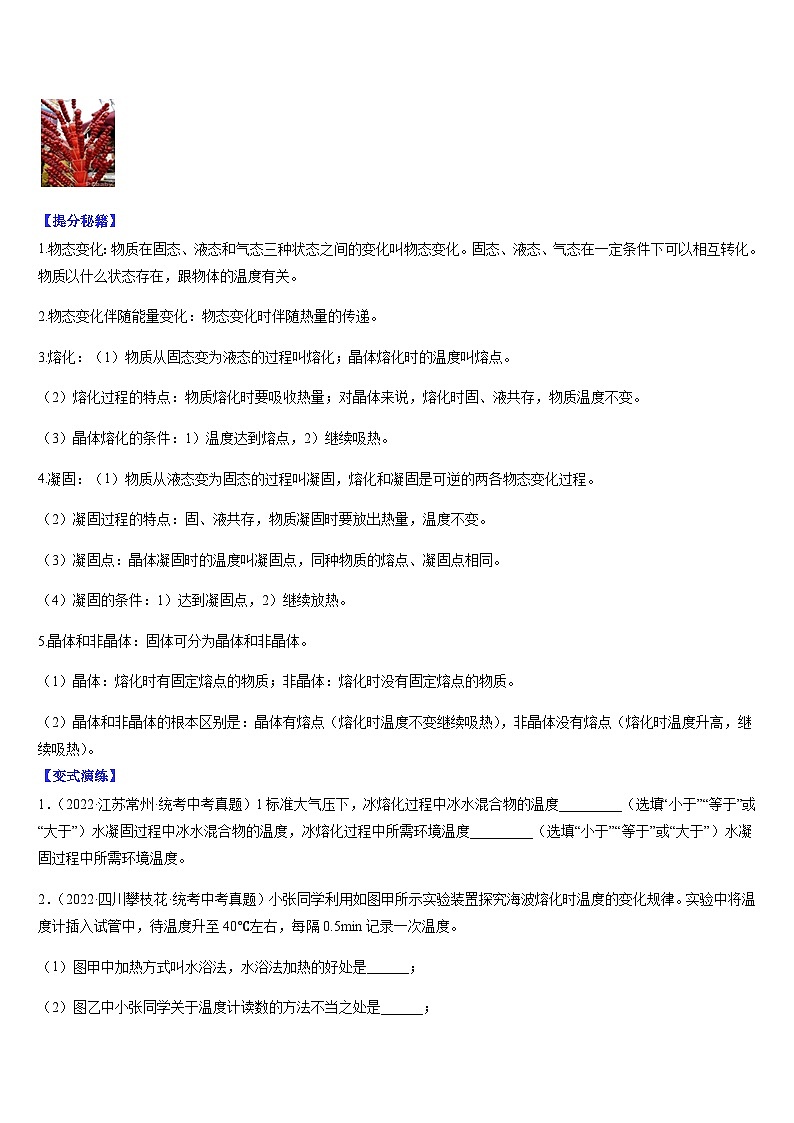 中考物理二轮复习考点题型归纳与变式演练专题02 物态变化(原卷版)第3页