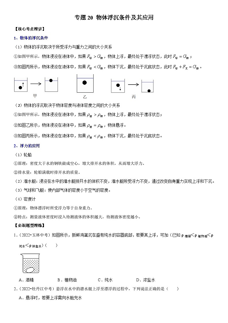 中考物理二轮复习考点精讲与题型精练专题20 物体浮沉条件及其应用(原卷版)第1页