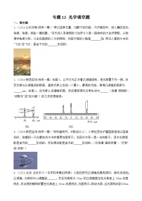 中考物理三轮冲刺易错题精练专题13 光学填空题(2份,原卷版+解析版)