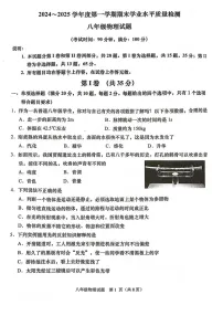 山东省青岛市市南区2024-2025学年八年级上学期期末考试物理试卷