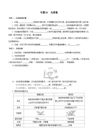 中考物理一轮复习基础巩固讲义专题03 光现象（2份，原卷版+解析版）