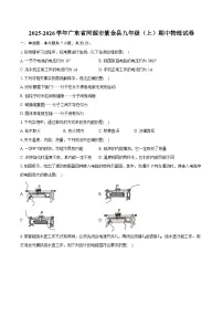2025-2026学年广东省河源市紫金县九年级（上）期中物理试卷（含答案+解析）