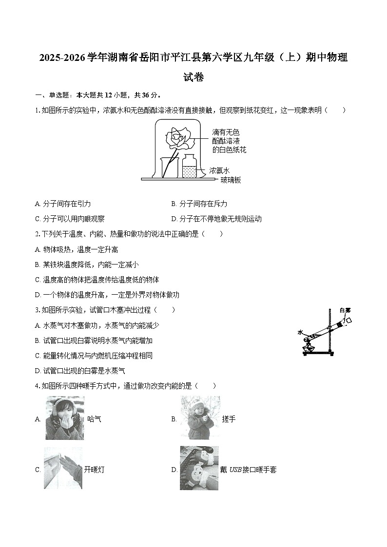 2025-2026学年湖南省岳阳市平江县第六学区九年级(上)期中物理试卷-自定义类型第1页