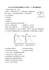 2025-2026学年河北省衡水市九年级（上）期中物理试卷-自定义类型