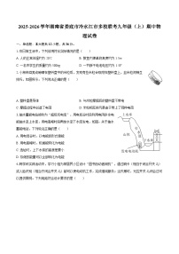 2025-2026学年湖南省娄底市冷水江市多校联考九年级（上）期中物理试卷-自定义类型