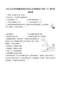2025-2026学年湖南省娄底市冷水江市多校联考九年级（上）期中物理试卷-自定义类型