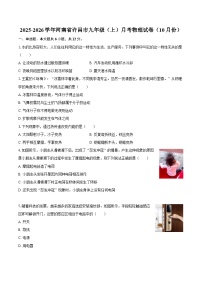 2025-2026学年河南省许昌市九年级（上）月考物理试卷（10月份）-自定义类型