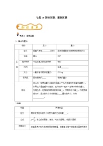 中考物理一轮复习考点精练（基础+提升）专题10 固体压强、液体压强（2份，原卷版+解析版）