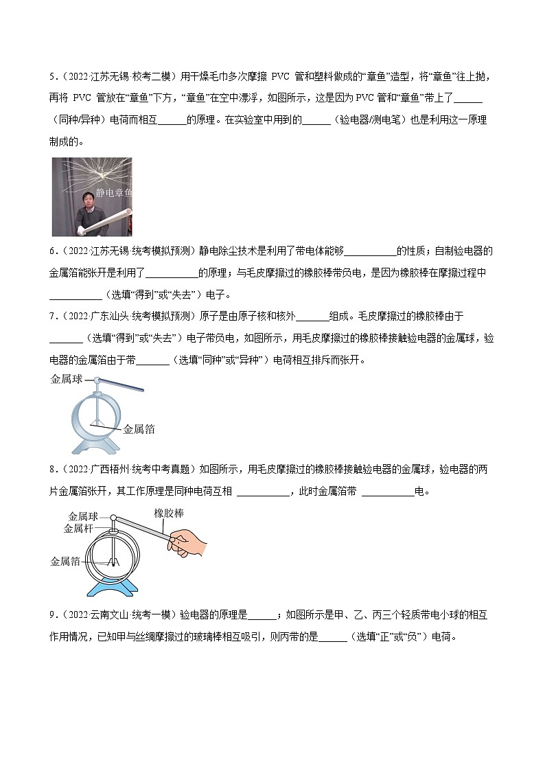 中考物理二轮复习核心考点讲练第17讲 验电器中瞬间电流方向问题(原卷版)第3页