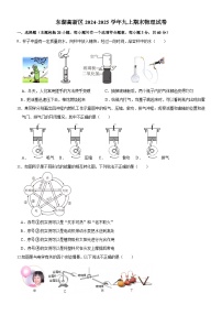湖北省武汉市东湖高新区2024-2025学年九年级上学期期末考试物理试题（含答案）