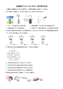湖北省武汉市东湖高新区2024-2025学年九年级上学期期末考试物理试题（含答案）