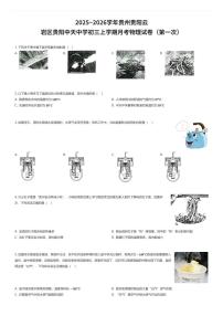 2025~2026学年贵州贵阳云岩区贵阳中天中学初三上学期月考物理试卷（第一次）（有答案解析）
