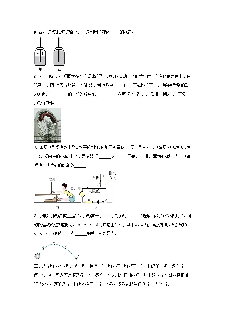 2025年江西省萍乡市安源区中考一模物理试卷(学生版)第2页