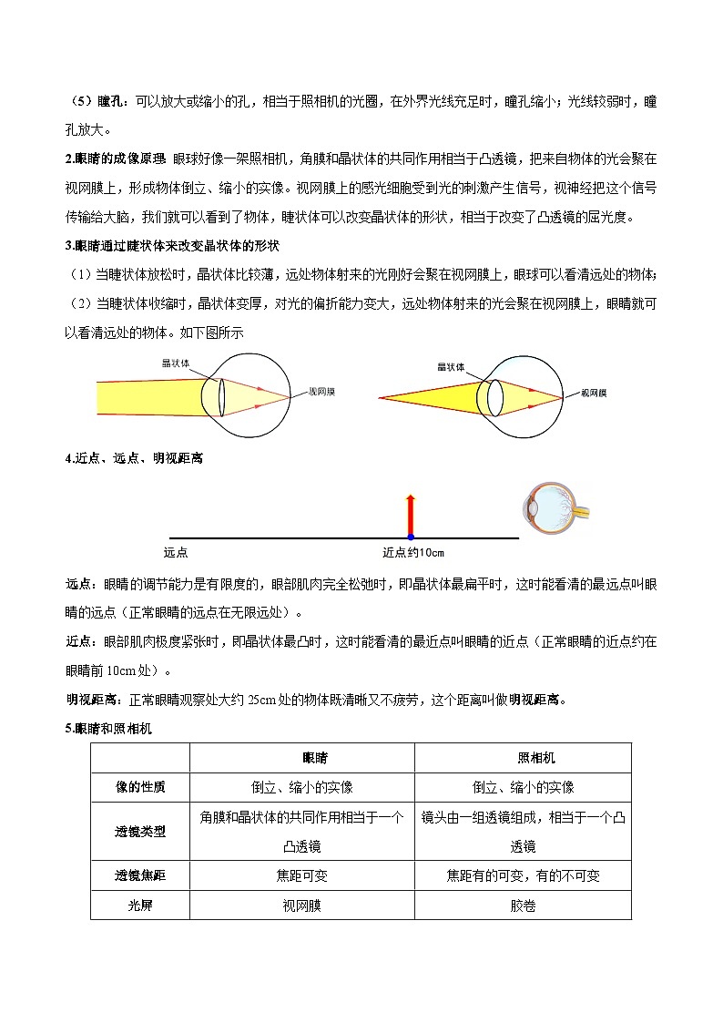 第5.4课时 眼睛和眼镜(原卷版)人教版八上物理同步练习第2页