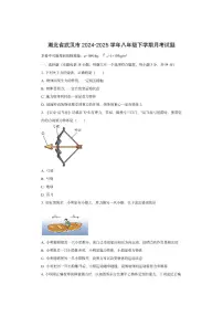 湖北省武汉市2024-2025学年八年级下学期3月月考物理试卷（学生版）
