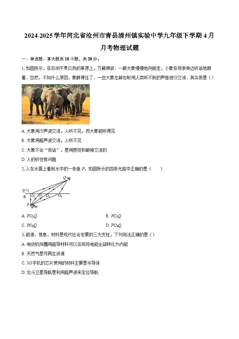 2024-2025学年河北省沧州市青县清州镇实验中学九年级下学期4月月考物理试题-自定义类型第1页