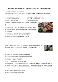 2025-2026学年河南省周口市扶沟县九年级（上）期中物理试卷-自定义类型