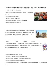 2025-2026学年河南省平顶山市汝州市九年级（上）期中物理试卷-自定义类型