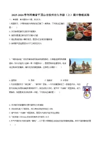 2025-2026学年河南省平顶山市汝州市九年级(上)期中物理试卷-自定义类型