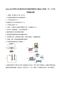 2024-2025学年江苏省苏州市外国语学校吴中校区九年级（下）3月月考物理试卷-自定义类型