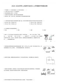 2025~2026学年上海闵行区初三上学期期中物理试卷（有答案解析）