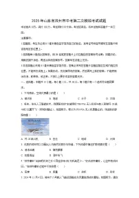 2025年山东省滨州市中考第二次模拟考试物理试卷(学生版)