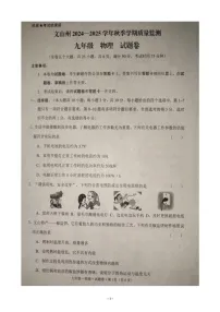 云南省文山壮族苗族自治州2024-2025学年上学期九年级物理期末试题卷