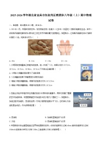 2025-2026学年湖北省宜昌市伍家岗区教联体八年级（上）期中物理试卷-自定义类型