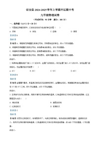 福建省漳州市诏安片区九年级上学期期中考试物理试题（解析版）-A4
