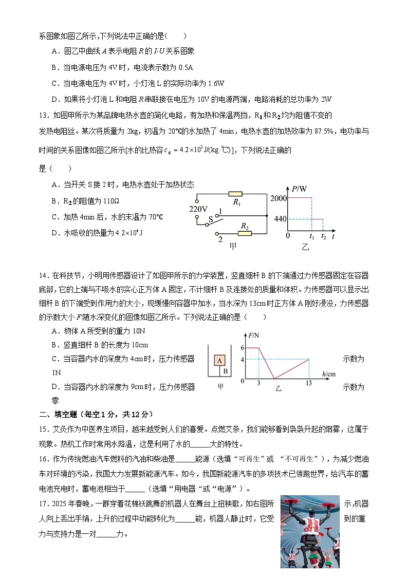 福建省漳州市漳浦县九年级下学期期中考试物理试题-A4第3页