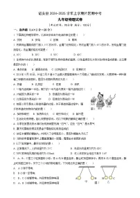 福建省漳州市诏安片区九年级上学期期中考试物理试题-A4