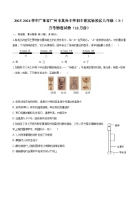 2025-2026学年广东省广州市真光中学初中部实验校区九年级（上）月考物理试卷（12月份）-自定义类型