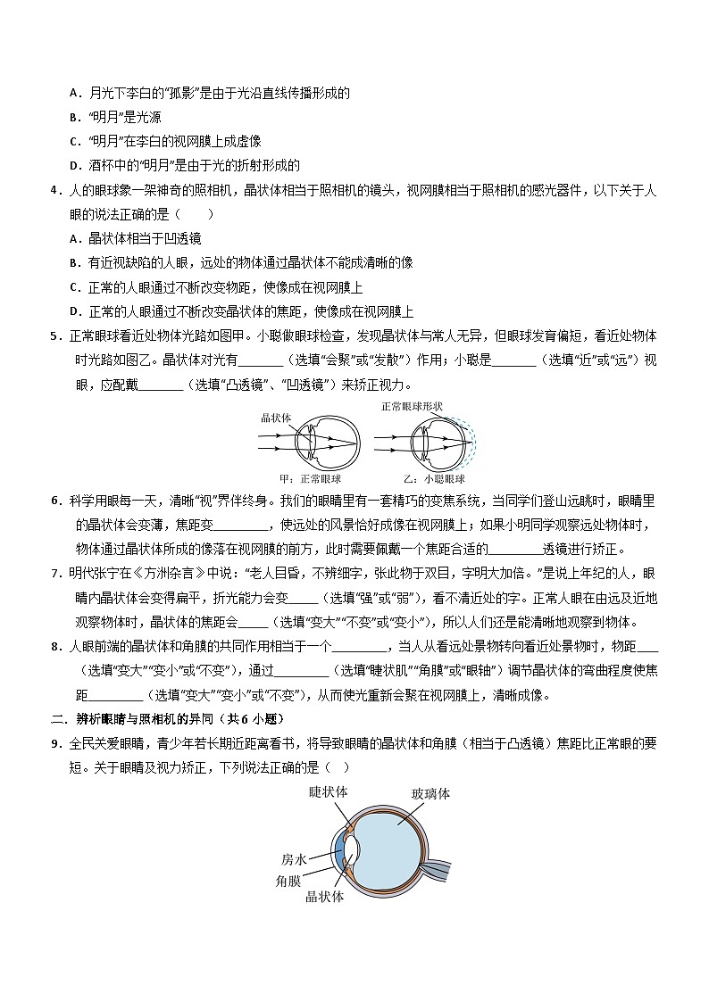 第4节 眼睛和眼镜(重难点训练)初中物理人教版(2024)八年级上册 第五章 透镜及其应用(原卷版)第2页