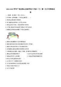 2024-2025学年广东省佛山实验学校八年级（下）第一次月考物理试卷-自定义类型