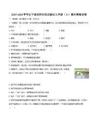 2025-2026学年辽宁省沈阳市沈北新区九年级（上）期末物理试卷-自定义类型