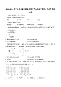 2024-2025学年上海市虹口区新北郊中学九年级下学期5月月考物理试题-自定义类型