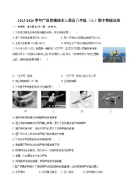 2025-2026学年广西防城港市上思县八年级（上）期中物理试卷-自定义类型