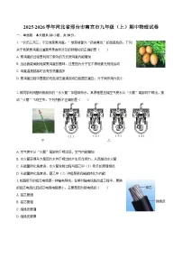 2025-2026学年河北省邢台市南宫市九年级（上）期中物理试卷-自定义类型