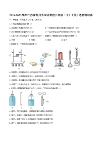 2024-2025学年江苏省苏州外国语学校八年级（下）5月月考物理试卷-自定义类型