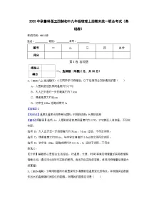 鲁科版五四制初中九年级物理上册期末测试卷(基础卷)(含答案)
