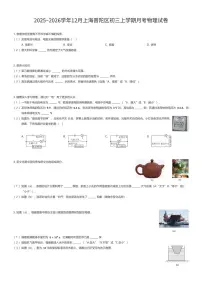 2025~2026学年12月上海普陀区初三上学期月考物理试卷（有答案解析）