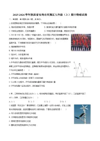 2025-2026学年陕西省宝鸡市凤翔区九年级(上)期中物理试卷-自定义类型