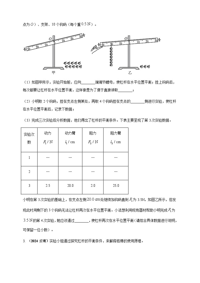 2024年中考物理真题分类汇编——探究杠杆的平衡条件(原卷版)第3页