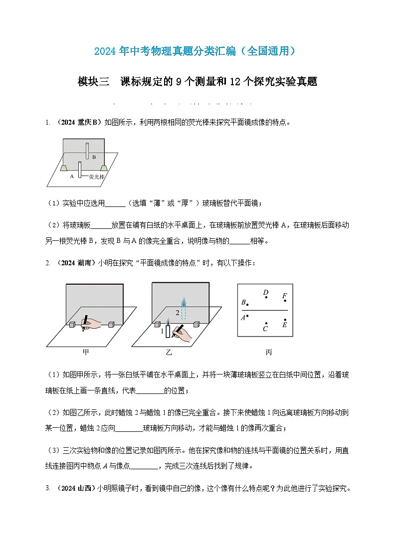 2024年中考物理真题分类汇编——探究平面镜成像的特点(含答案)第1页