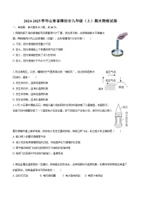 2024-2025学年山东省潍坊市九年级（上）期末物理试卷-自定义类型