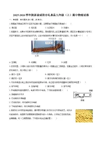 2025-2026学年陕西省咸阳市礼泉县九年级(上)期中物理试卷-自定义类型