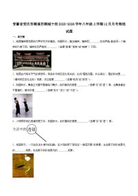 安徽省安庆市桐城市十校2025-2026学年八年级上学期12月月考 物理试卷